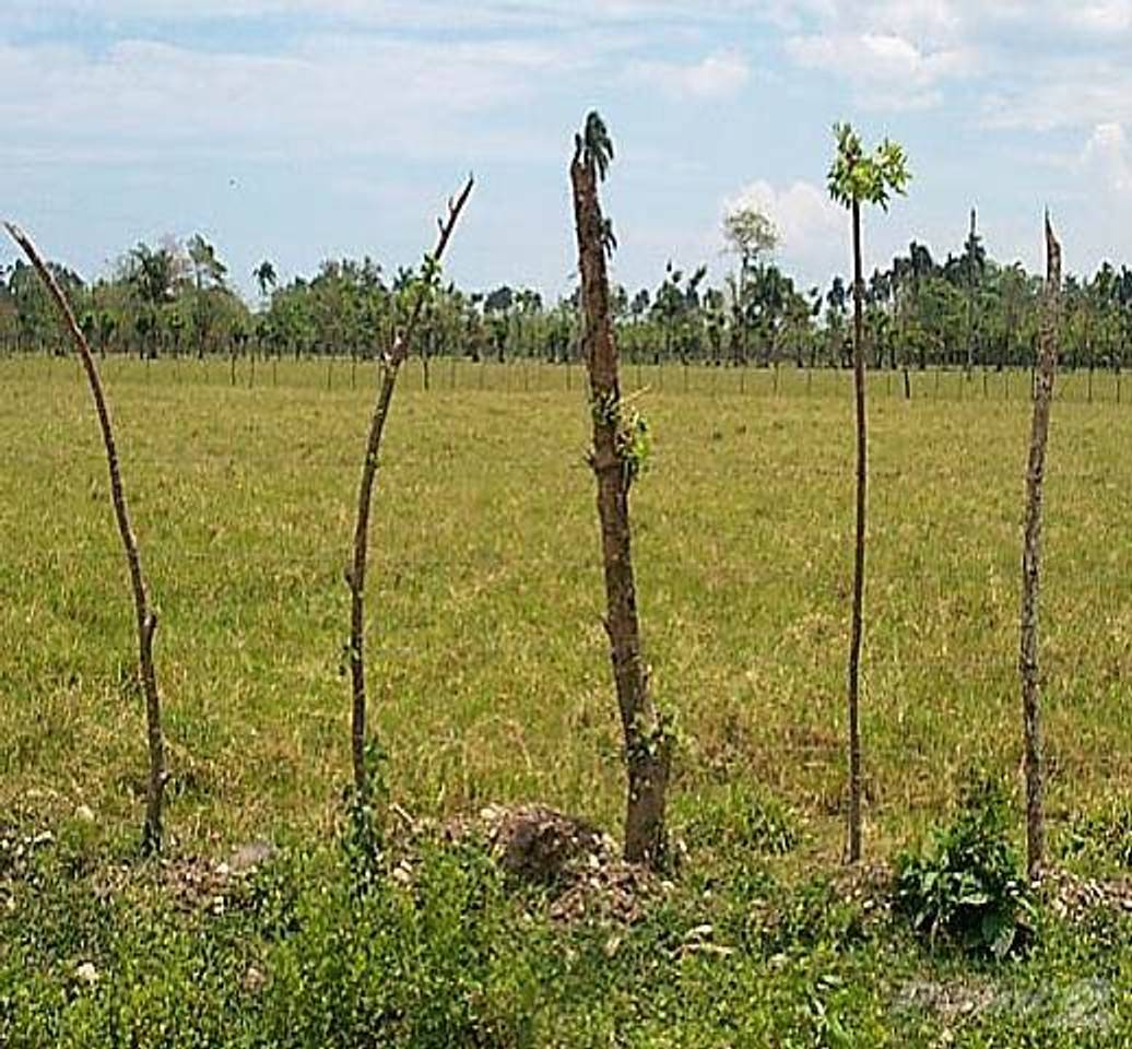 Terreno turístico en venta Sabaneta de Yásica, Puerto Plata